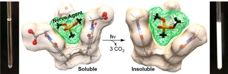 Nerve agent encapsulation Nerve agent encapsulation model