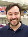 Marcos Sotomayor