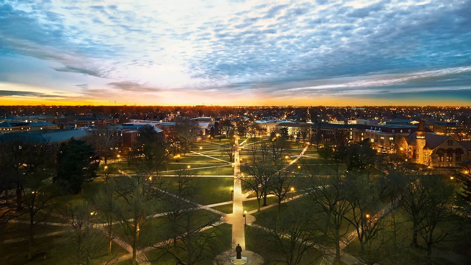 Aerial View of the Oval
