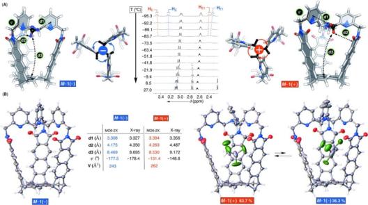 NMR figure