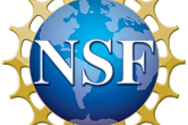 NSF logo NSF logo