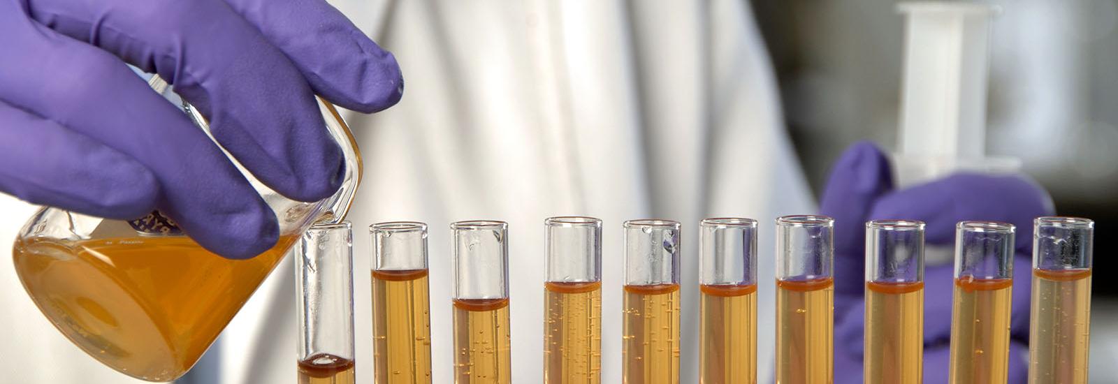 Photograph of scientist pouring colored liquid into row of test tubes.